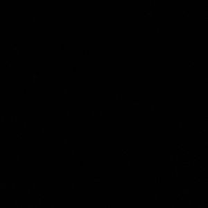 Meet your Posher, Priscilla